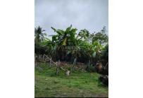 Fincas y Casas Campestres, Venta, Suarez
