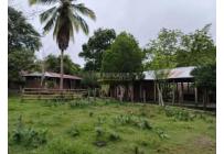 Fincas y Casas Campestres, Venta, Suarez
