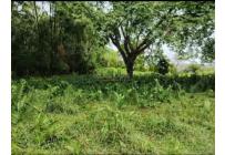 Fincas y Casas Campestres, Venta, Suarez