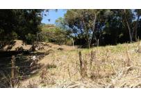 Lotes, Venta, La Buitrera - $350.000.000