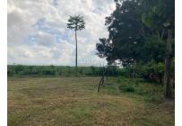 Fincas y Casas Campestres, Venta, Florida - $599.000.000