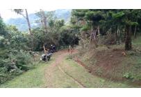 Fincas y Casas Campestres, Venta, La Castilla - $250.000.000