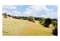 Lotes, Venta, Sopo - $497.000.000