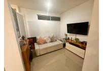 Apartamentos, Venta, Santa Isabel - $500.000.000