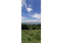 Lotes, Venta, Calima (Darién) - $430.000.000