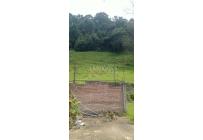 Lotes, Venta, Calima (Darién) - $430.000.000