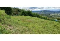 Lotes, Venta, Calima (Darién) - $430.000.000