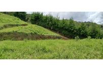 Lotes, Venta, Calima (Darién) - $430.000.000