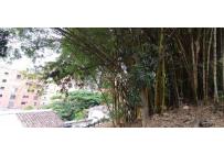 Casas, Venta, Santa Rita - $1.650.000.000