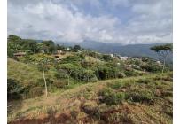 Lotes, Venta, La Reforma - $270.000.000