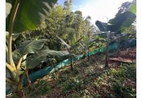 Fincas y Casas Campestres, Venta, La Cumbre - $500.000.000