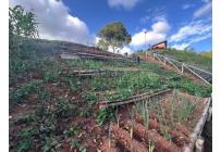 Fincas y Casas Campestres, Venta, La Cumbre - $500.000.000
