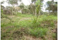 Lotes, Venta, Cristo Rey - $2.500.000.000