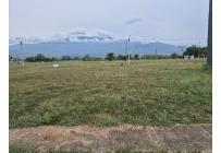 Lotes, Venta, Jardín de Potrerito