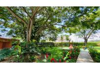 Apartamentos, Venta, La Hacienda - $220.000.000