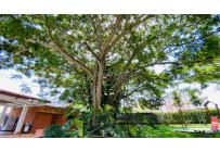 Apartamentos, Venta, La Hacienda - $220.000.000