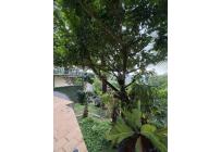 Casas, Venta, Bella Suiza - $2.400.000.000