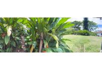 Lotes, Venta, Jamundí - $3.500.000.000