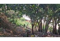 Lotes, Venta, Aguacatal - $2.500.000.000