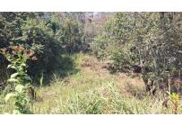 Lotes, Venta, Aguacatal - $2.500.000.000