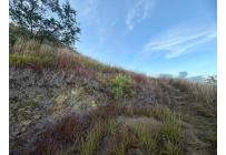 Lotes, Venta, Yumbo - $700.000.000