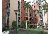 Apartamentos, Venta, Salomia - $230.000.000