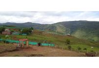 Fincas y Casas Campestres, Venta, Dagua - $320.000.000