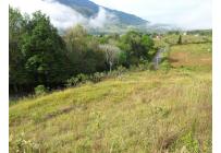 Lotes, Venta, Calima (Darién) - $2.860.000.000
