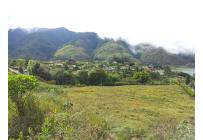Lotes, Venta, Calima (Darién) - $2.860.000.000