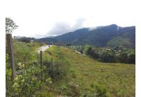 Lotes, Venta, Calima (Darién) - $2.860.000.000