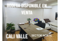 Locales y Bodegas, Venta, Manzanares - $550.000.000