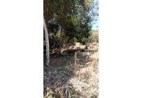 Lotes, Venta, La Buitrera - $350.000.000