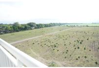 Apartamentos, Venta, Palmira - $480.000.000