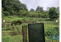 Fincas y Casas Campestres, Venta, Yumbo - $999.000.000