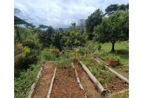 Fincas y Casas Campestres, Venta, Dagua - $300.000.000