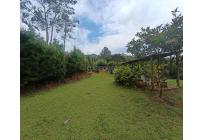 Fincas y Casas Campestres, Venta, Dagua - $300.000.000