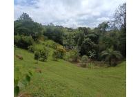 Fincas y Casas Campestres, Venta, Dagua - $300.000.000