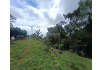 Fincas y Casas Campestres, Venta, Dagua - $300.000.000