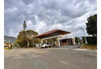 Lotes, Venta, Palmira - $350.000.000