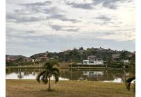 Lotes, Venta, Palmira - $350.000.000
