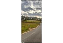 Lotes, Venta, Palmira - $350.000.000