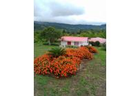 Fincas y Casas Campestres, Venta, La Cumbre - $990.000.000