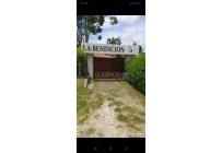 Casas, Venta, Calima (Darién) - $1.450.000.000