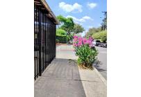 Apartamentos, Alquiler, Valle del Lili - $1.200.000