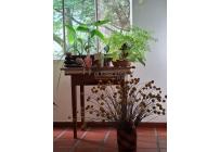 Apartamentos, Venta, El Limonar - $245.000.000
