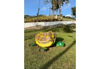 Fincas y Casas Campestres, Venta, La Cumbre - $3.500.000.000