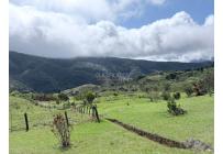 Fincas y Casas Campestres, Venta, Dagua - $980.000.000