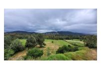 Lotes, Venta, Guasca - $890.000.000