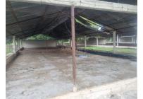 Fincas y Casas Campestres, Venta, Guacarí - $1.300.000.000