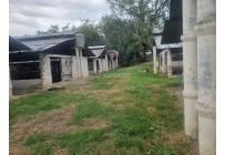 Fincas y Casas Campestres, Venta, Guacarí - $1.300.000.000